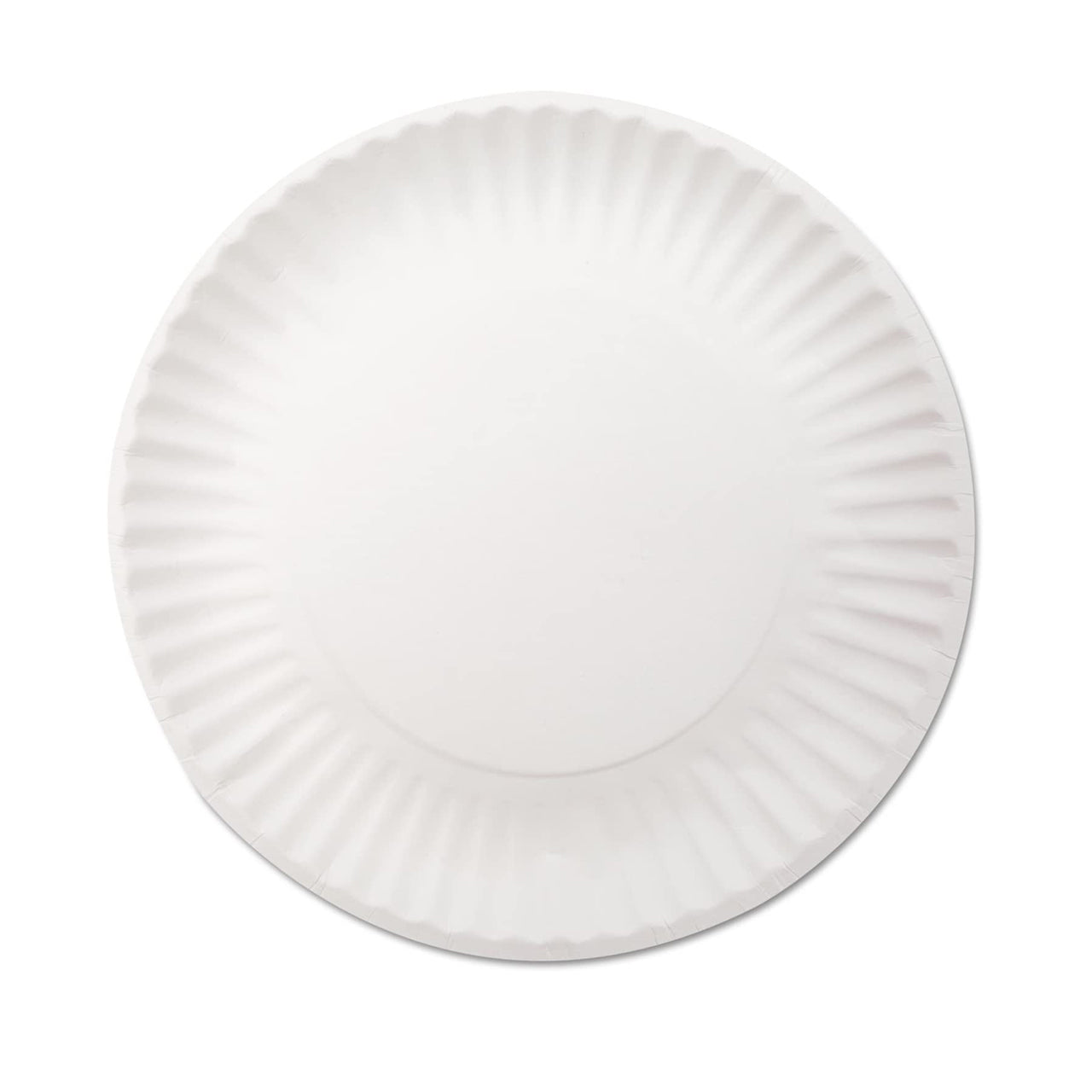 9 INCH 100CT UNCOATED PAPER PLATES 12/CS